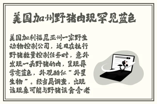 迪达拉奖励黑土照片